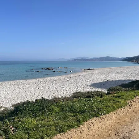 La Piscine - Appt Pour 6 Climatise Avec Piscine * LʼÎle-Rousse