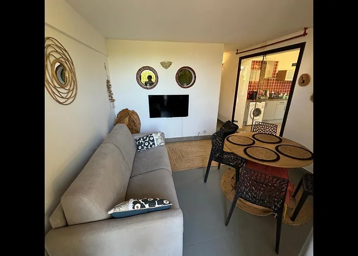 Appartement La Piscine - Appt Pour 6 Climatise Avec Piscine